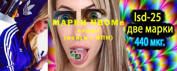 ГАЛЛЮЦИНОГЕННЫЕ ГРИБЫ Вязьма