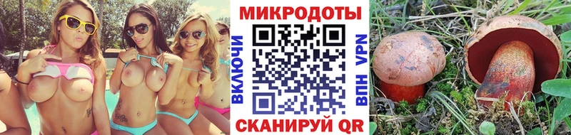 продажа наркотиков  Гремячинск  Галлюциногенные грибы Cubensis 